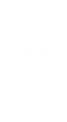 Escudo Vera Cruz